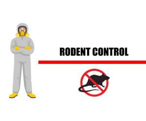Rodent Control global pest service